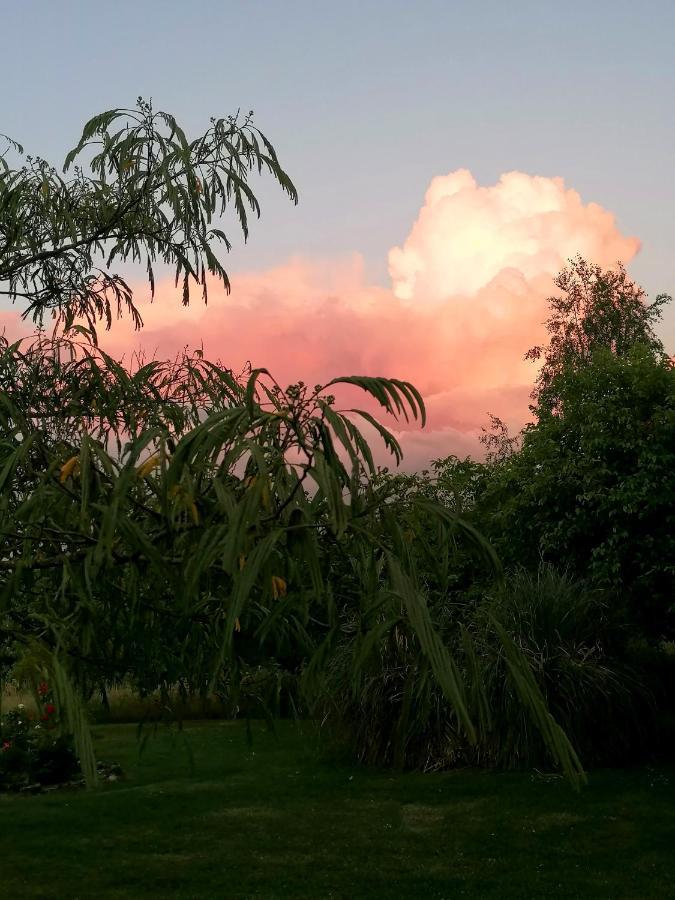 Le Verger Du Paradis Beaulieu-sur-Sonnette Bagian luar foto